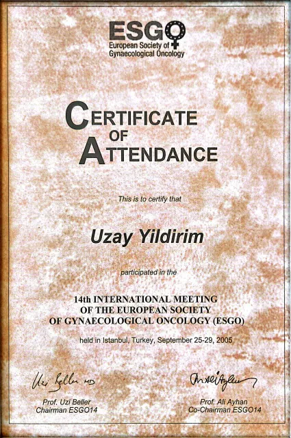 14th International Meeting of the European Society of Gynaecological Oncology (ESGO) – İstanbul · 25–29 Eylül 2005 · Katılım belgesi