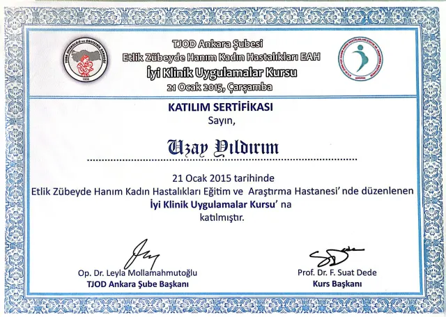 İyi Klinik Uygulamalar Kursu – TJOD Ankara Şubesi · 21 Ocak 2015 · Katılım sertifikası