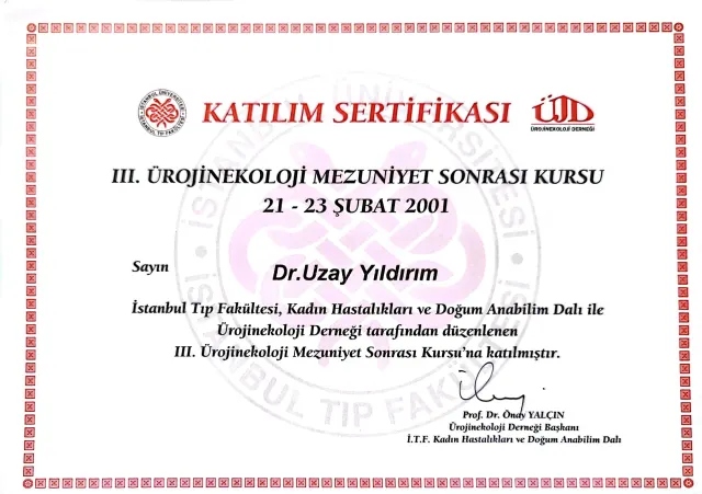 III. Ürojinekoloji Mezuniyet Sonrası Kursu – İstanbul Tıp Fakültesi · 21–23 Şubat 2001 · Katılım sertifikası