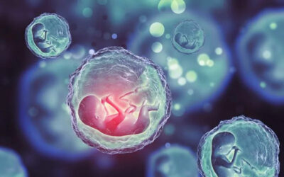 Embryo Pooling Embryo Pooling (Embryo Havuzu) | Op. Dr. Uzay Yıldırım